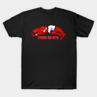 CYMRU AM BYTH WALES FOREVER T-Shirt